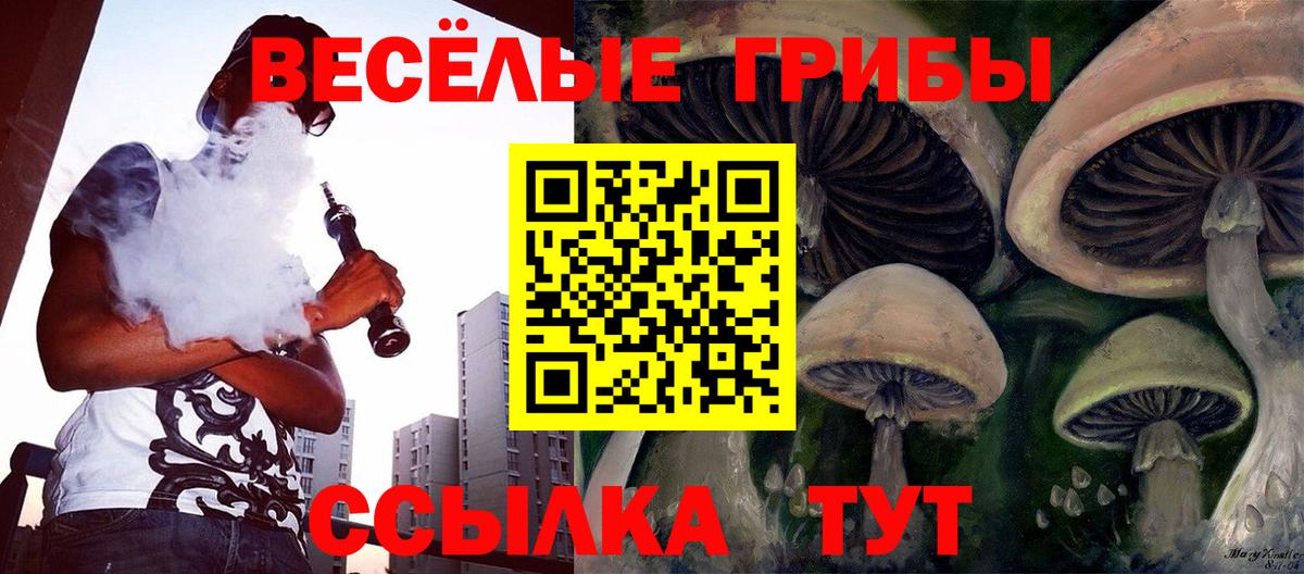 Псилоцибиновые грибы Psilocybine cubensis  Вход с VPN  Галлюциногенные грибы прущие грибы  Калач-на-Дону 